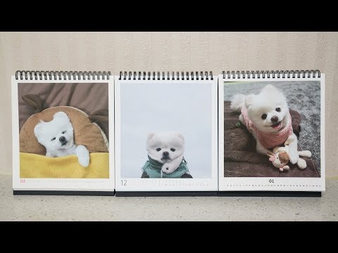 안 흔한 강아지 달력- 달리 달력 리뷰