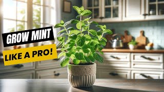 Growing Mint INDOORS Like A Pro!