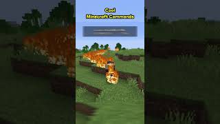 Cool Minecraft Commands 🏠🔨  #minecraft