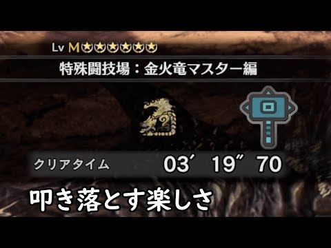 【MHW:IB】リオレイア希少種 ハンマー 3分19秒70【アイスボーン】