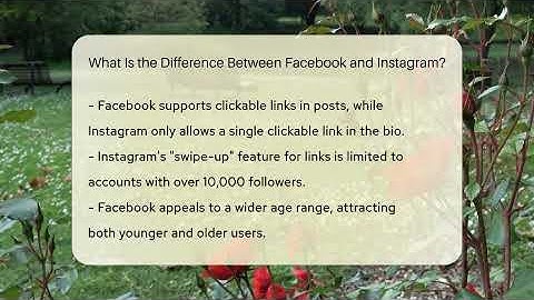 What Is the Difference Between Facebook and Instagram? - Everyday-Networking