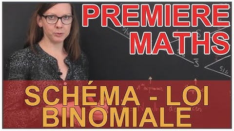Loi binomiale - Exemple avec un schéma - Maths première - Les Bons Profs