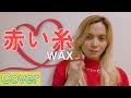 【日本語バージョン】赤い糸/WAX【Cover】フィリピン人のアンジェリンが歌ってみた!
