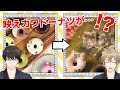 アラサー男性が全力で映えカワドーナツつくった結果【動物ドーナツ】 #ひま食堂