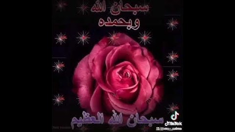 صباح الخير القران الكريم