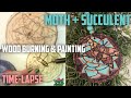 Moth + Succulent Wood Burning &amp; Painting Time-Lapse