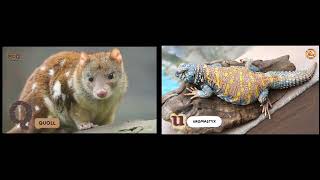 Dj Sedia Aku Sebelum Hujan Slow Viral Tiktok  Song 2025