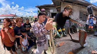 ANG NAG TATAGONG KING COBRA SA BODEGA #cobraprince 