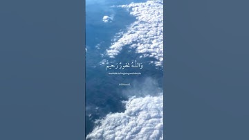 أفلا يتوبون إلى الله ويستغفرونه والله غفور رحيم | القارئ عبدالرحمن مسعد 🍃