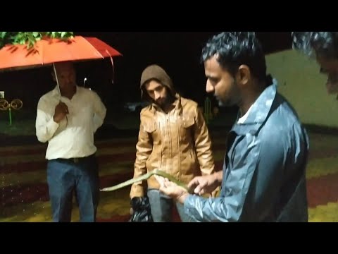 camera iphone 8 plus apk बारिश मे हमने रेस्क्यू किया ये साप