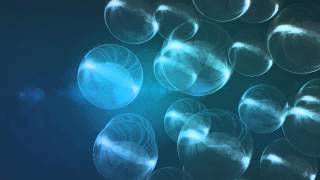 Element 3d test