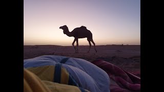 Voyage Maroc, Désert Du Sahara