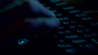 Florida cybercrime victims lose $20K each - here's how to protect yourself Content