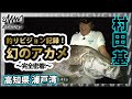 高知で幻の魚・アカメ探求！ 2/2『魚種格闘技戦！ 113 村田基×高知県アカメ』イントロver【釣りビジョン】その②