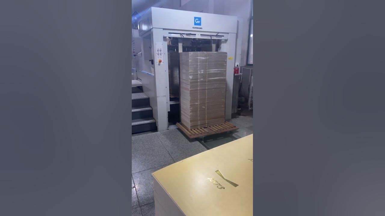 Guowang DieCutting machine S106DHQ for packing machinery YouTube