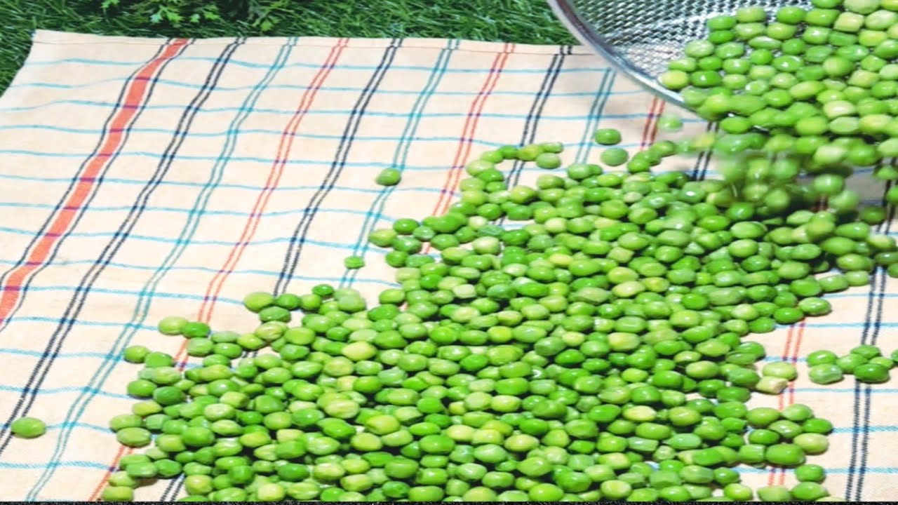 How to make frozen peas at home| बिना केमिकल बाजार जैसी हरी भरी मटर घर पर  स्टोर करें साल भर के लिए
