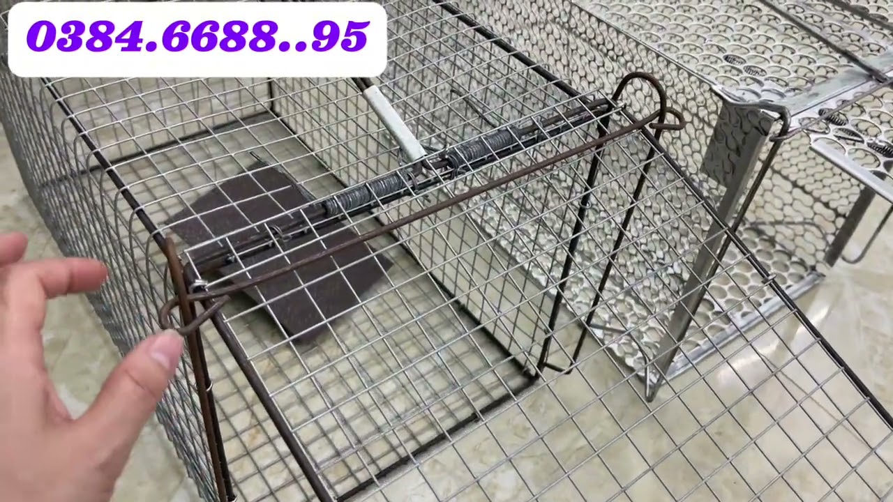 🔥🔥BẪY THÚ RỪNG VỚI LỒNG MẮT CÁO THÉP DÀY KHÔNG RỈ ☎️0384.6688.95