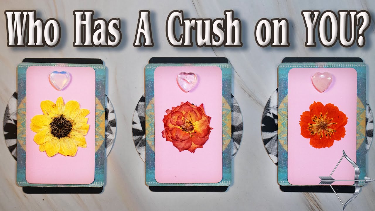 Pick A Card "Who Has a Crush on YOU?" Ep. 7 | The Hunter, A Missed Opportunity or A New Investment!