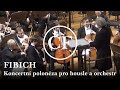 Capture de la vidéo Z. Fibich: Koncertní Polonéza Pro Housle A Orchestr • Polonaise De Concert D Major