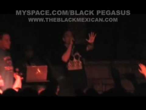 LIQUID ASSASSIN DROPPED DURING STAGE DIVE