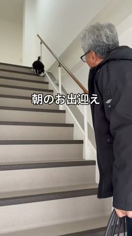 会社猫ふくの日常😸暖かい季節はお出迎えしてくれます😊#株式会社日章#トラック運送#会社猫