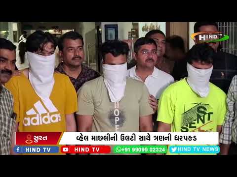 સુરતમાં વ્હેલ માછલીની ઉલ્ટીના સ્મગલીંગનો રેકેટનો પર્દાફાશ