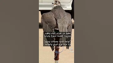 نطيح من عثرات الايام ونقوم وتزيدنا الطيحه شموخ حالات 