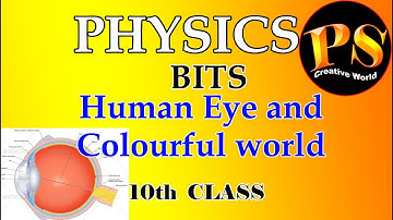 Human eye and colourful world , Bits, 10th class