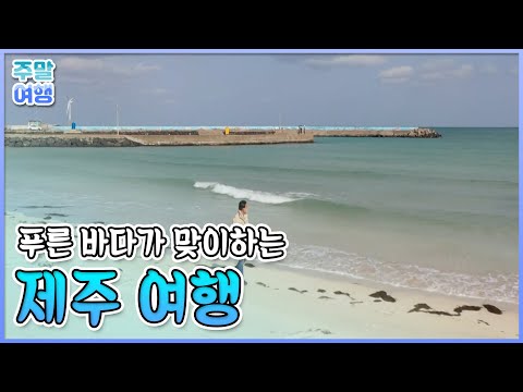 자연, 마을, 여행자 모두가 즐거운 여행, 제주 <strong>착한여행</strong>😇[테마기행길]