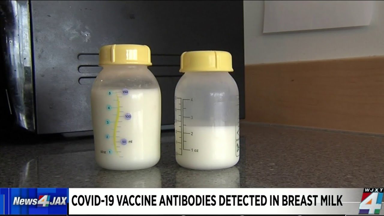 COVID19 vaccine antibodies detected in breast milk YouTube