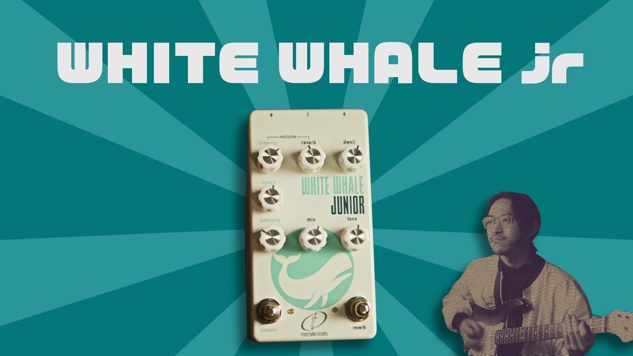 このサイズで実物スプリング内蔵！Crazy Tube Circuits White Whale jr