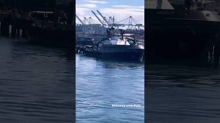Powerful Tugboat Or Towboat At Harbor Island shorts