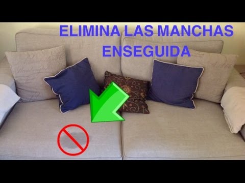 CÓMO ELIMINAR MANCHAS DE TU SOFÁ EN SEGUNDOS? - thptnganamst.edu.vn