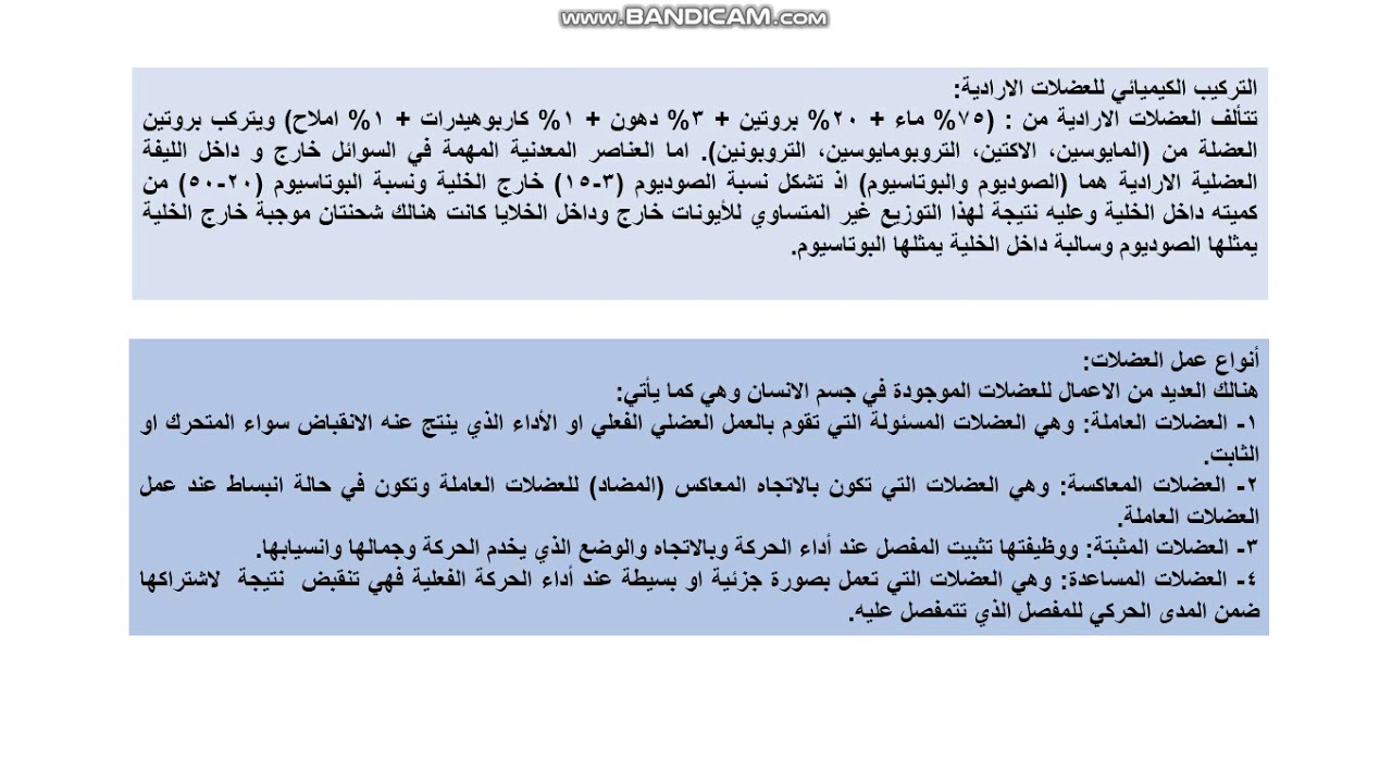 الجهاز العضلي