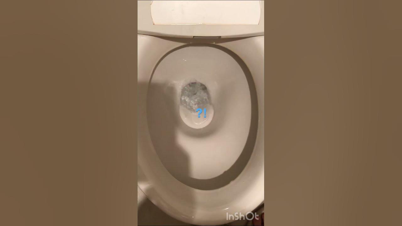 空気が逆流しているトイレ(A toilet where the air is flowing backwards) YouTube