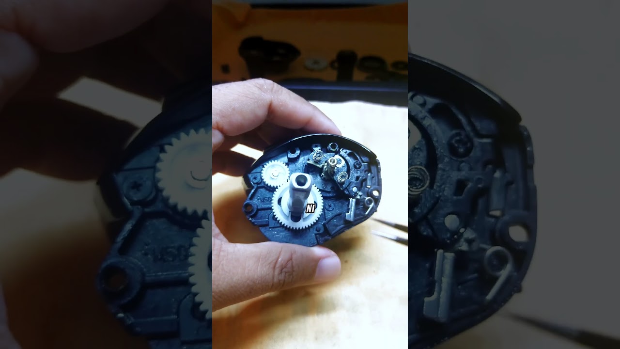 Service reel daiwa steezz 2024