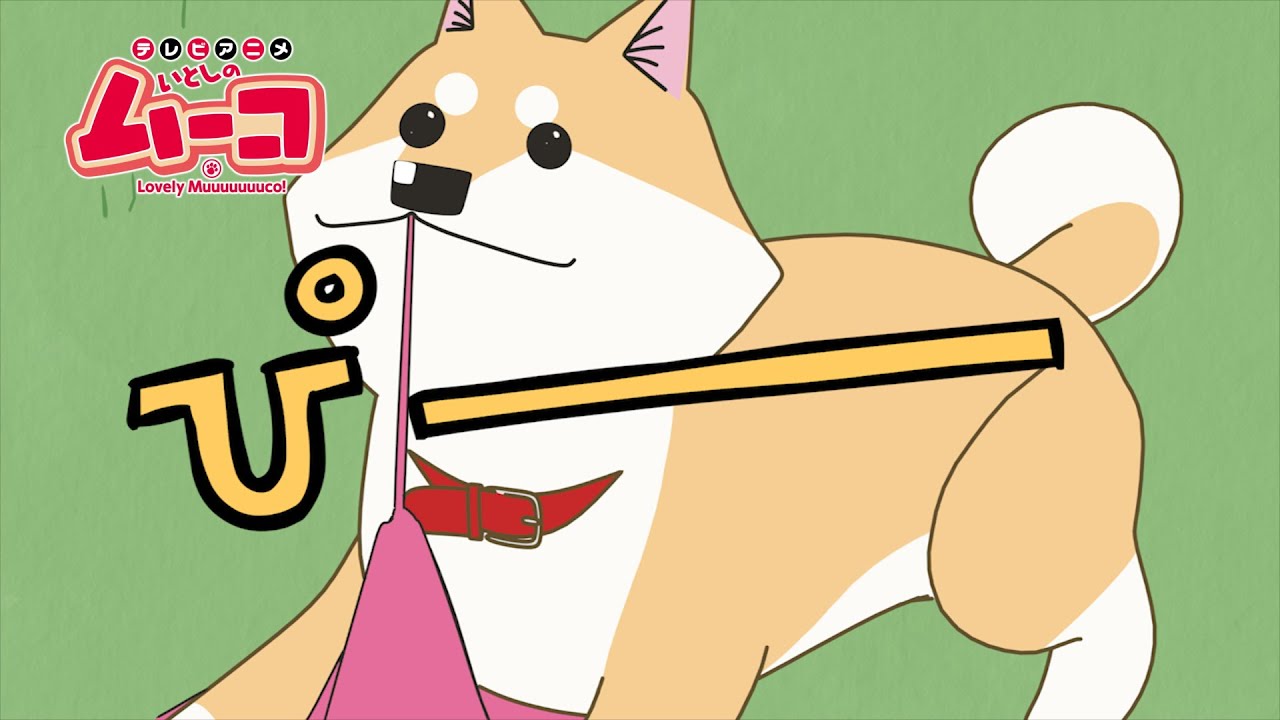 犬のアニメが面白い キャラクターが際立った厳選6作品 まとめ わんちゃんホンポ