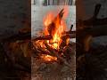 Пламя огня, 🔥 на природе #кулінарія #пламя #пламякостра#готовимвкусно #готовимнаприроде