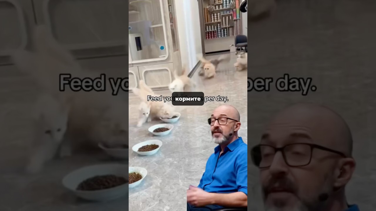 😱😱😱Арт на корм вб : 