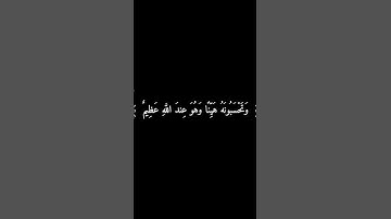 وَتَحْسَبُونَهُ هَيِّنًا وَهُوَ عِندَ اللَّهِ عَظِيمٌ (15) |سورة النور |قرآن شاشة سوداء |كرومات🖤🖤🖤🖤