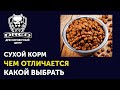 Сухой корм для собак | Классификация кормов | Чем один сухой корм отличается от другого