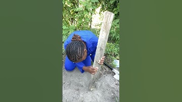 Bulk Density and Porosity Investigation |Part one ( obtaining soil sample)