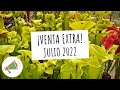 #369 Venta Extraordinaria Julio 2022