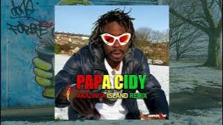 Download lagu Papa Cidy - Akazinga Island Remix