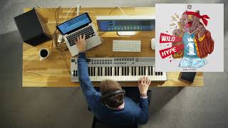 Wild Hype - FREE TRAP SAMPLE PACK (185,7 MB)