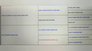 The Red Boy Jocko Familystps Ch Toro