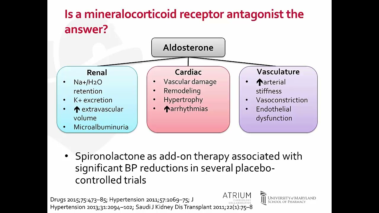 Playing the Oldies but Goodies for the Treatment of Resistant Hypertension