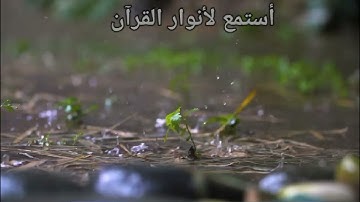ما تيسر من سورة فاطر بصوت الشيخ ياسر الدوسري #تلاوة_خاشعة #الشيخ_ياسر_الدوسري #سورة_فاطر