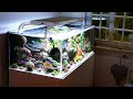 Uwes 400 liter reef tank acrylic  new royal exclusive led