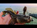 СНАСТЬ на КРУПНОГО БЫЧКА (КНУТА) / морская рыбалка на спиннинг с берега